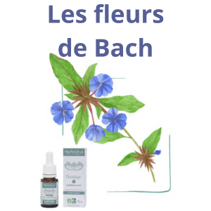 Fleurs de Bach laboratoire herbiolys